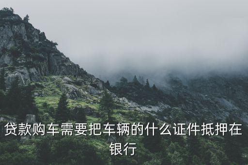 貸款購(gòu)車(chē)需要把車(chē)輛的什么證件抵押在銀行