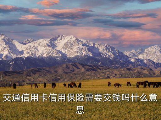交行刷得保是什么意思，手機(jī)刷高保什么意思