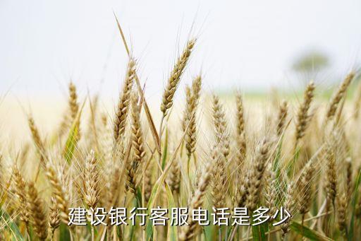 建設(shè)銀行客服電話是多少