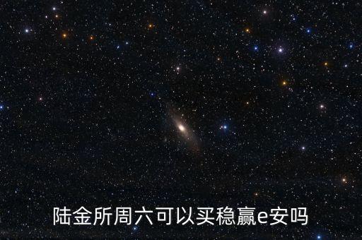陸金所周六可以買穩(wěn)贏e安嗎