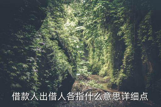 借款人類別是指什么意思，借款人是什么人