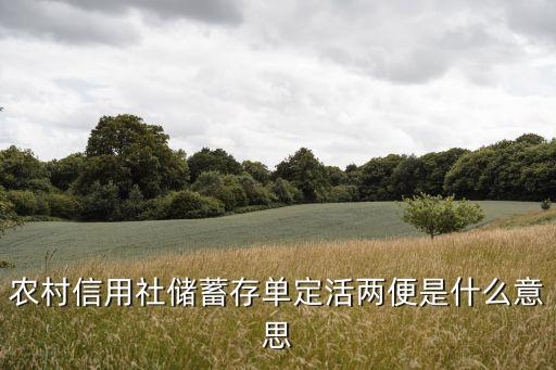 定活兩便存單什么意思，農(nóng)村信用社儲蓄存單定活兩便是什么意思