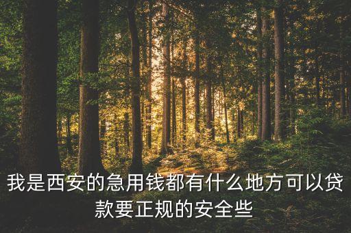 西安網(wǎng)貸需要什么條件，西安無抵押貸款條件是什么