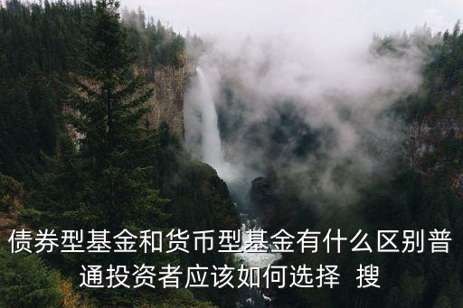 貨基和債基有什么不同，債券型基金和貨幣型基金有什么區(qū)別普通投資者應(yīng)該如何選擇  搜