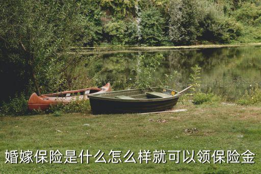 婚嫁保險(xiǎn)是什么怎么樣就可以領(lǐng)保險(xiǎn)金