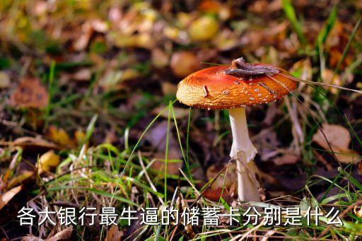各大銀行最牛逼的儲蓄卡分別是什么
