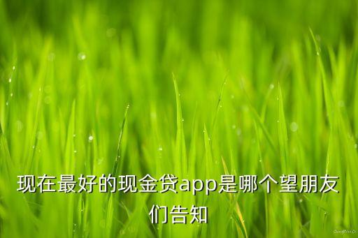 有什么現(xiàn)金貸比較好，現(xiàn)金貸app哪個(gè)最好現(xiàn)金貸app哪個(gè)最好