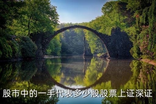 股市中的一手代表多少股股票上證深證