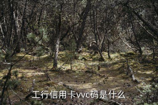 工行信用卡vvc碼是什么