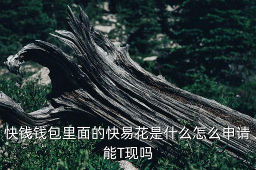 快錢錢包里面的快易花是什么怎么申請能T現(xiàn)嗎