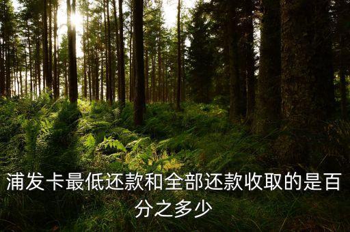 浦發(fā)貨款一萬要還多少，浦發(fā)信用卡刷一萬分十二期還款總共要還多少