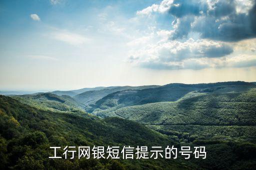 工銀短信編號是什么意思，工行網(wǎng)銀短信提示的號碼