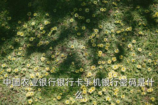 中國(guó)農(nóng)業(yè)銀行銀行卡手機(jī)銀行密碼是什么