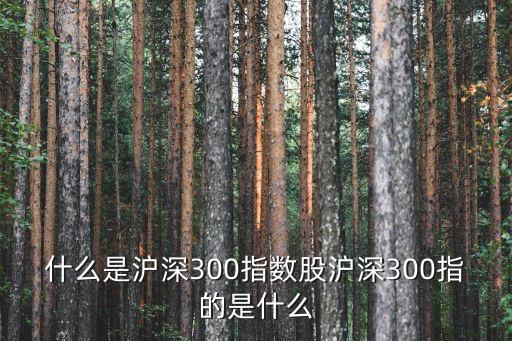 深滬300指是什么股，什么事滬深300指標股