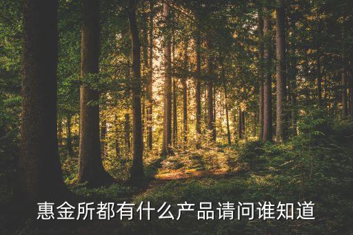 惠金所都有什么產(chǎn)品請問誰知道