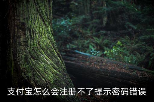 支付寶怎么會(huì)注冊(cè)不了提示密碼錯(cuò)誤