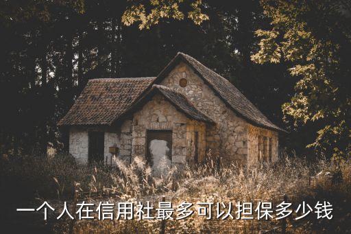 一個(gè)人在信用社最多可以擔(dān)保多少錢
