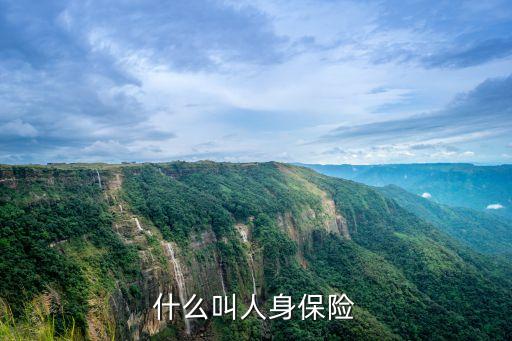 什么叫人身保險(xiǎn)