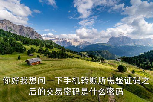 手機(jī)轉(zhuǎn)賬要填短信密碼是什么，移動(dòng)的短信交易密碼是什么