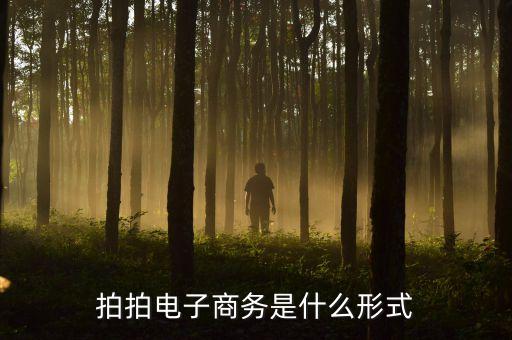 拍拍電子商務是什么形式