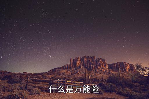 什么是萬(wàn)能險(xiǎn)