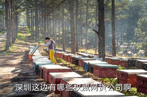 深圳這邊有哪些權威網(wǎng)貸公司啊