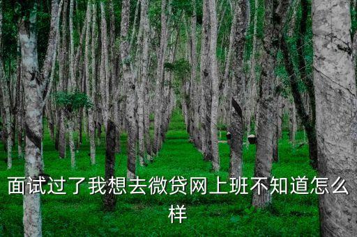 深圳微貸網(wǎng)是什么公司，深圳的微貸網(wǎng)是哪個(gè)搜索出來(lái)很多而且地址都不一樣論壇看到