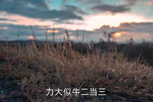 力大似牛二當(dāng)三