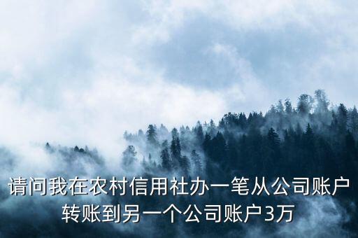 請問我在農(nóng)村信用社辦一筆從公司賬戶轉(zhuǎn)賬到另一個公司賬戶3萬