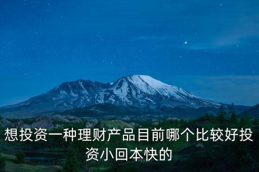 想投資一種理財(cái)產(chǎn)品目前哪個(gè)比較好投資小回本快的