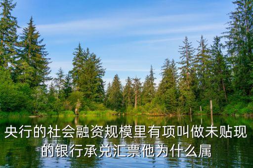 央行的社會(huì)融資規(guī)模里有項(xiàng)叫做未貼現(xiàn)的銀行承兌匯票他為什么屬