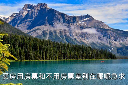 房票買(mǎi)房是什么政策，買(mǎi)房用房票和不用房票差別在哪呢急求