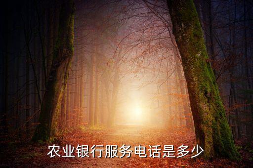 惠東大嶺農(nóng)業(yè)銀行電話是多少，農(nóng)業(yè)銀行服務(wù)電話是多少