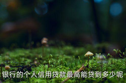 銀行的個(gè)人信用貸款最高能貸到多少呢