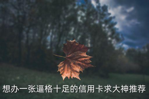 高級別信用卡有什么，銀行卡級別高的卡是什么卡