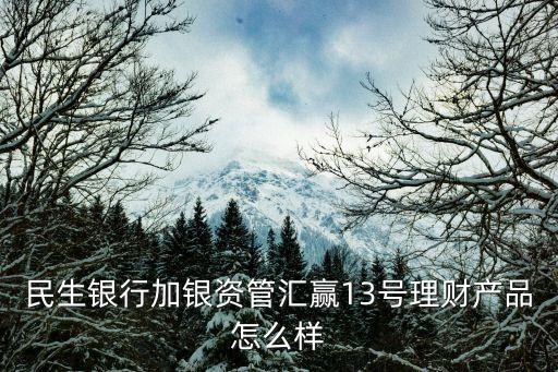 民生銀行加銀資管匯贏13號理財產(chǎn)品怎么樣
