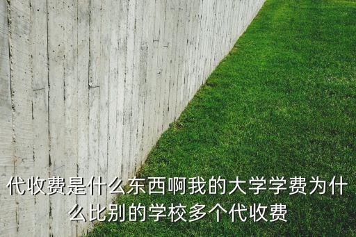 代收費是什么東西啊我的大學學費為什么比別的學校多個代收費