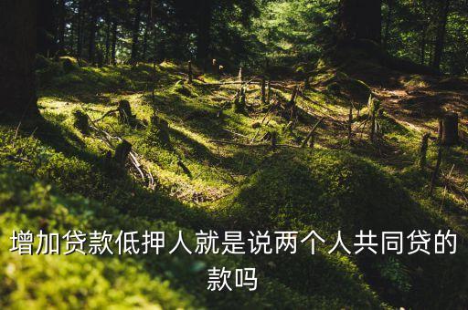 增加貸款低押人就是說(shuō)兩個(gè)人共同貸的款嗎