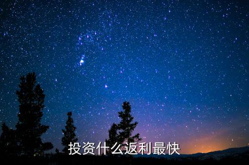 投資什么返利最快