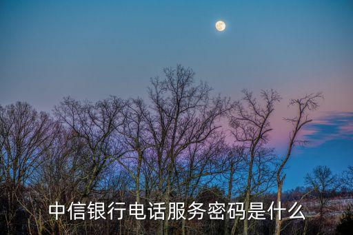 中信銀行電話服務(wù)密碼是什么