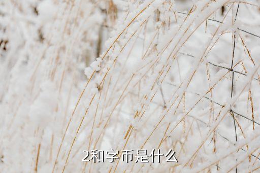 2和字幣是什么