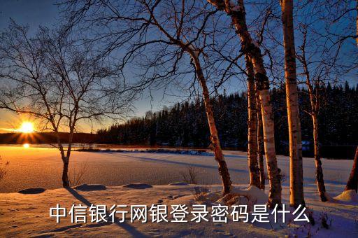 中信手機銀行直接登錄密碼是什么，中信手機銀行的登陸密碼是什么