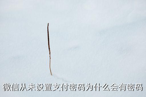 微信零錢包為什么會有密碼，微信錢包為什么會突然有手勢密碼