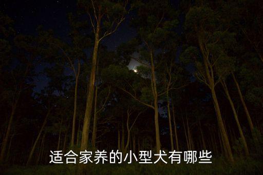 什么好養(yǎng)類融好，養(yǎng)什么魚(yú)
