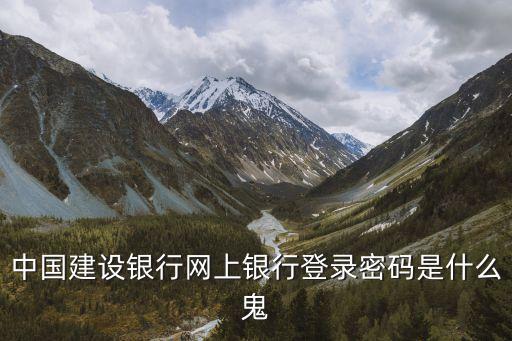 建設(shè)網(wǎng)銀登錄密碼是什么，建設(shè)銀行網(wǎng)上銀行的登錄密碼是什么