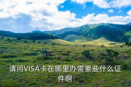 請問VISA卡在哪里辦需要些什么證件啊