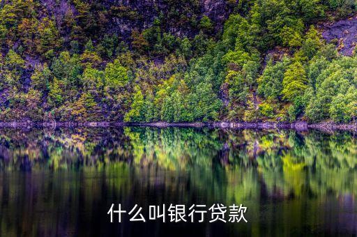 什么是地方銀行貸款，什么叫生源地貸款