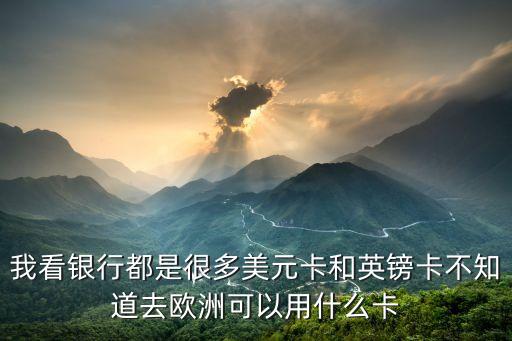 我看銀行都是很多美元卡和英鎊卡不知道去歐洲可以用什么卡
