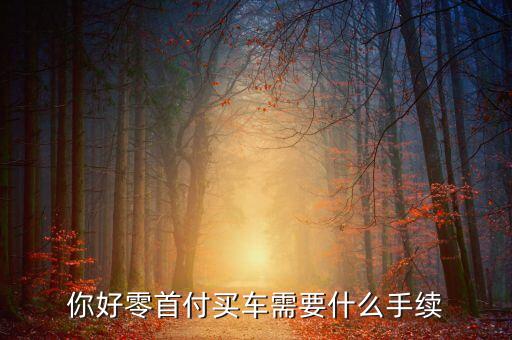 你好零首付買車需要什么手續(xù)