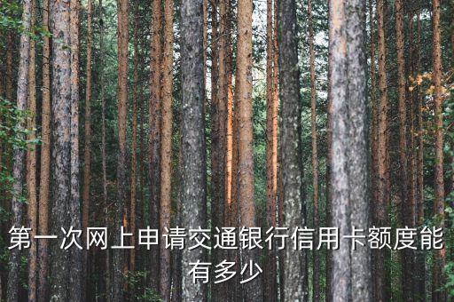 第一次網(wǎng)上申請(qǐng)交通銀行信用卡額度能有多少
